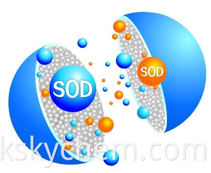Superoxide Dismutase Powder SOD CAS 9054-89-1